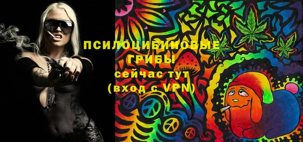 спиды Бронницы