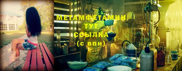 ГАЛЛЮЦИНОГЕННЫЕ ГРИБЫ Бородино