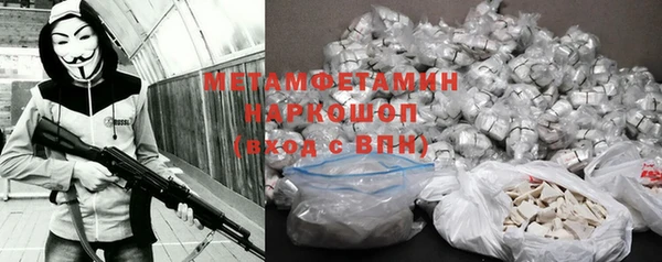 ГАЛЛЮЦИНОГЕННЫЕ ГРИБЫ Бородино