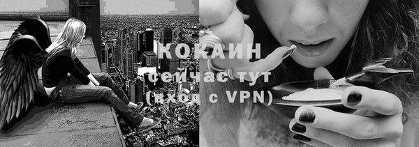 спиды Бронницы
