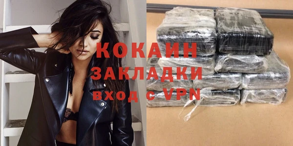 ГАЛЛЮЦИНОГЕННЫЕ ГРИБЫ Бородино