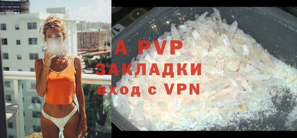 ГАЛЛЮЦИНОГЕННЫЕ ГРИБЫ Бородино
