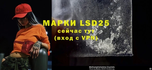 спиды Бронницы