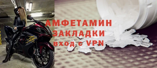ГАЛЛЮЦИНОГЕННЫЕ ГРИБЫ Бородино