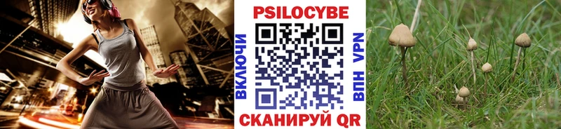 Купить где  Мариинский Посад  Псилоцибиновые грибы Magic Shrooms 